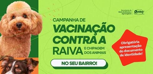 Queluz promove vacinação contra a raiva e chipagem de animais