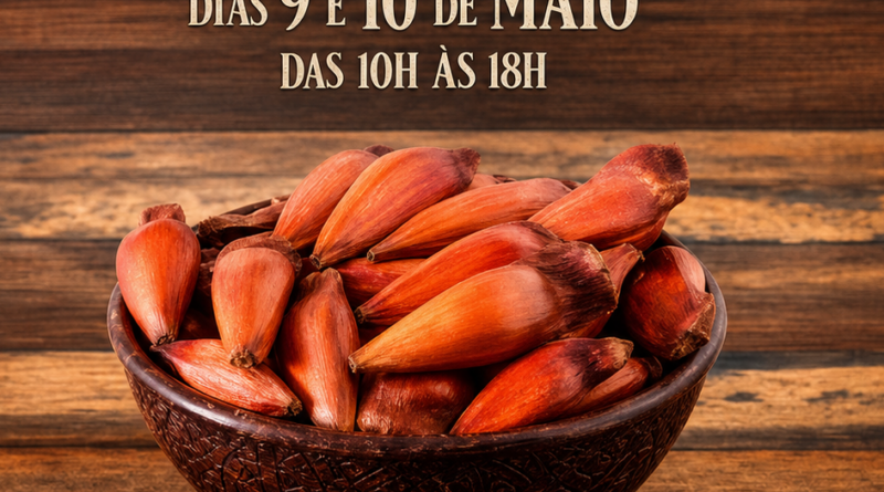 Queluz realiza Festa do Pinhão com programação cultural e gastronômica