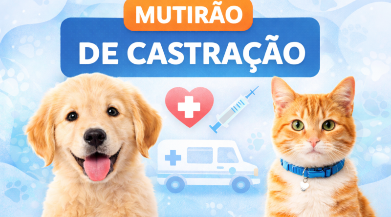 Prefeitura de Cruzeiro inicia maior programa de castração gratuita da história do município