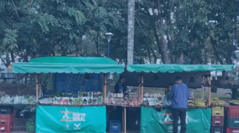 Feira Agroecológica valoriza produtores locais e incentiva alimentação saudável em Cruzeiro