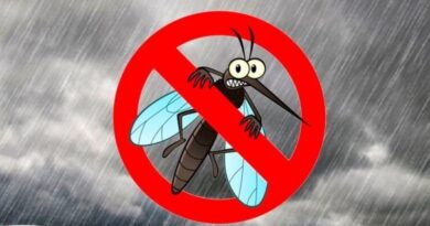 Cruzeiro chega a 16 casos confirmados de dengue e reforça alerta