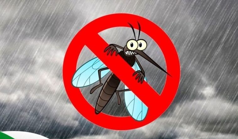 Cruzeiro chega a 16 casos confirmados de dengue e reforça alerta